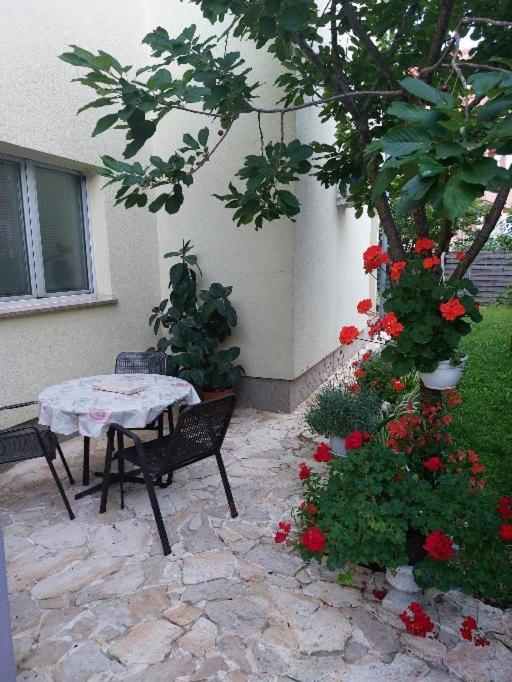 Apartment Mario Zadar